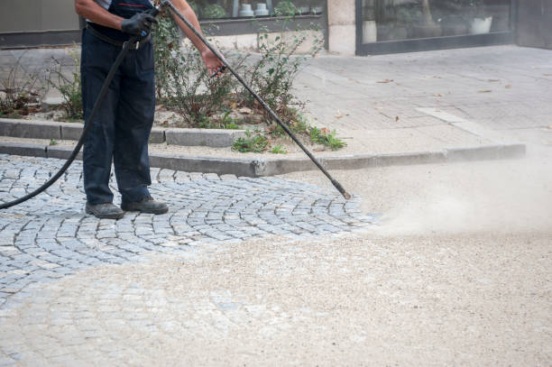 Best Roof Cleaning and Mildew Removal in Watsessing, NJ